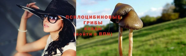 ГАЛЛЮЦИНОГЕННЫЕ ГРИБЫ Лиски