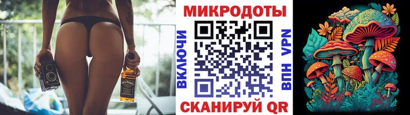 Галлюциногенные грибы мицелий  где можно купить   Медвежьегорск 